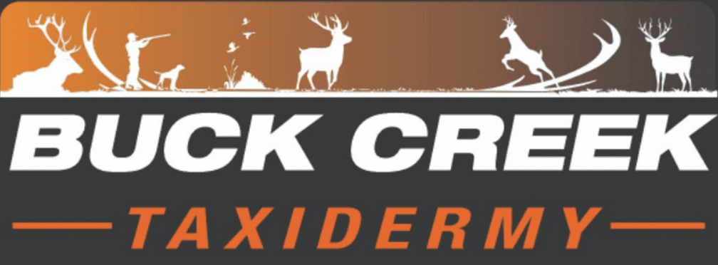 Buck Creek Taxidermy website hero image